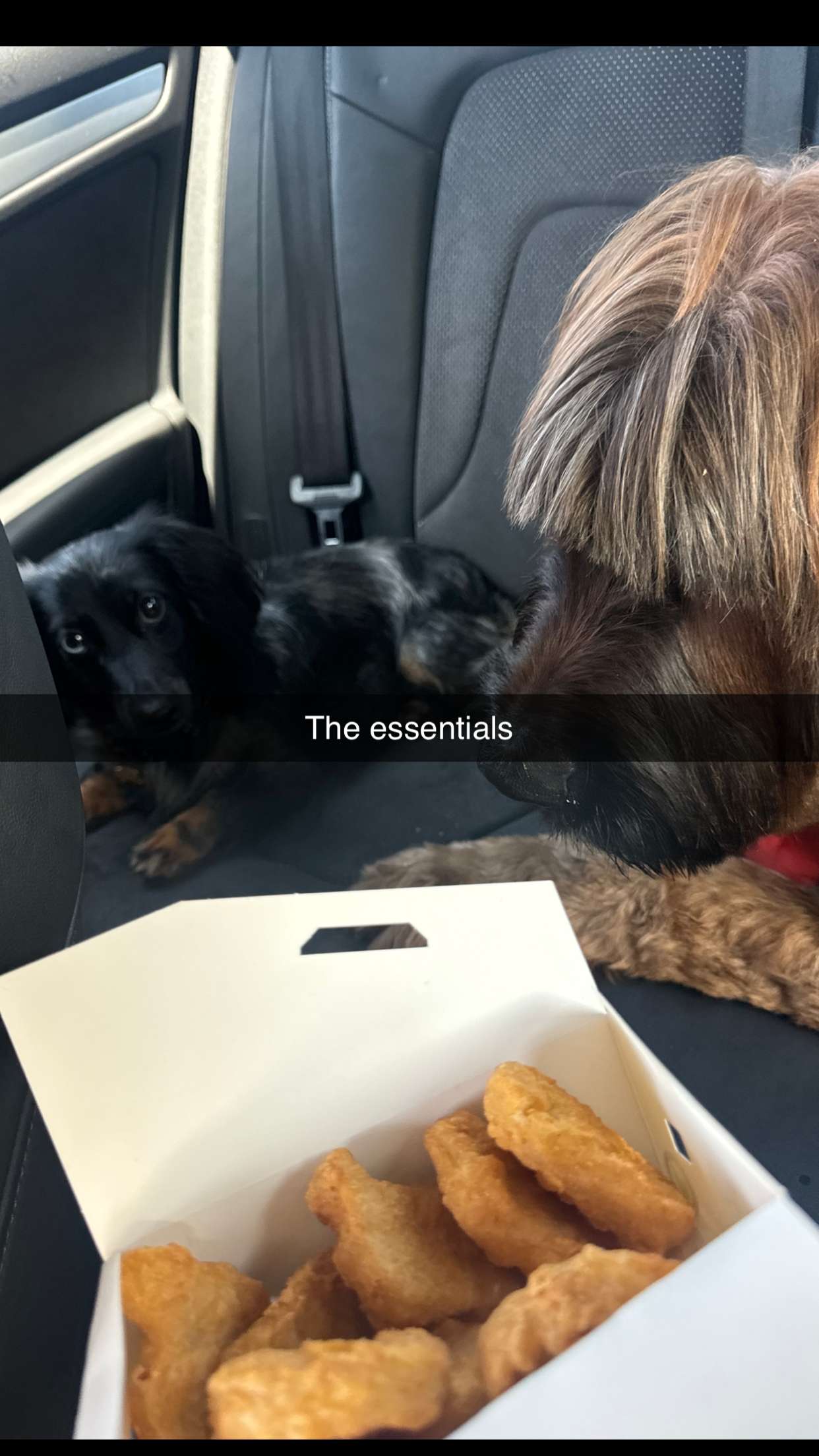 ppwyang0 snapchat image archive image