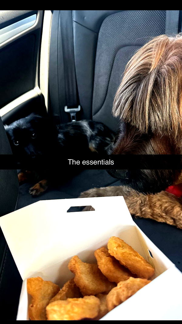 ppwyang0 image ~ Altpins