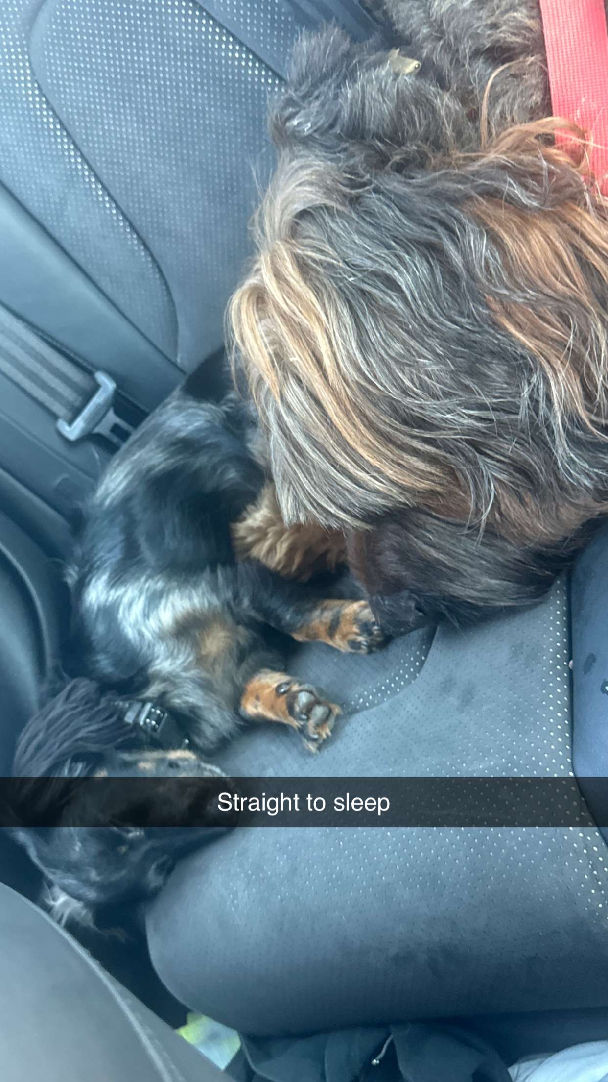 ppwyang0 snapchat image archive image