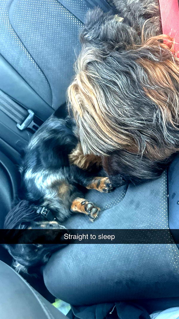 ppwyang0 image ~ Altpins