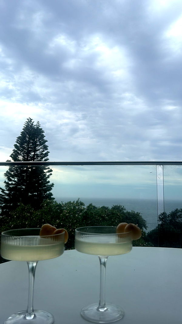 ppwyang0 image ~ Altpins