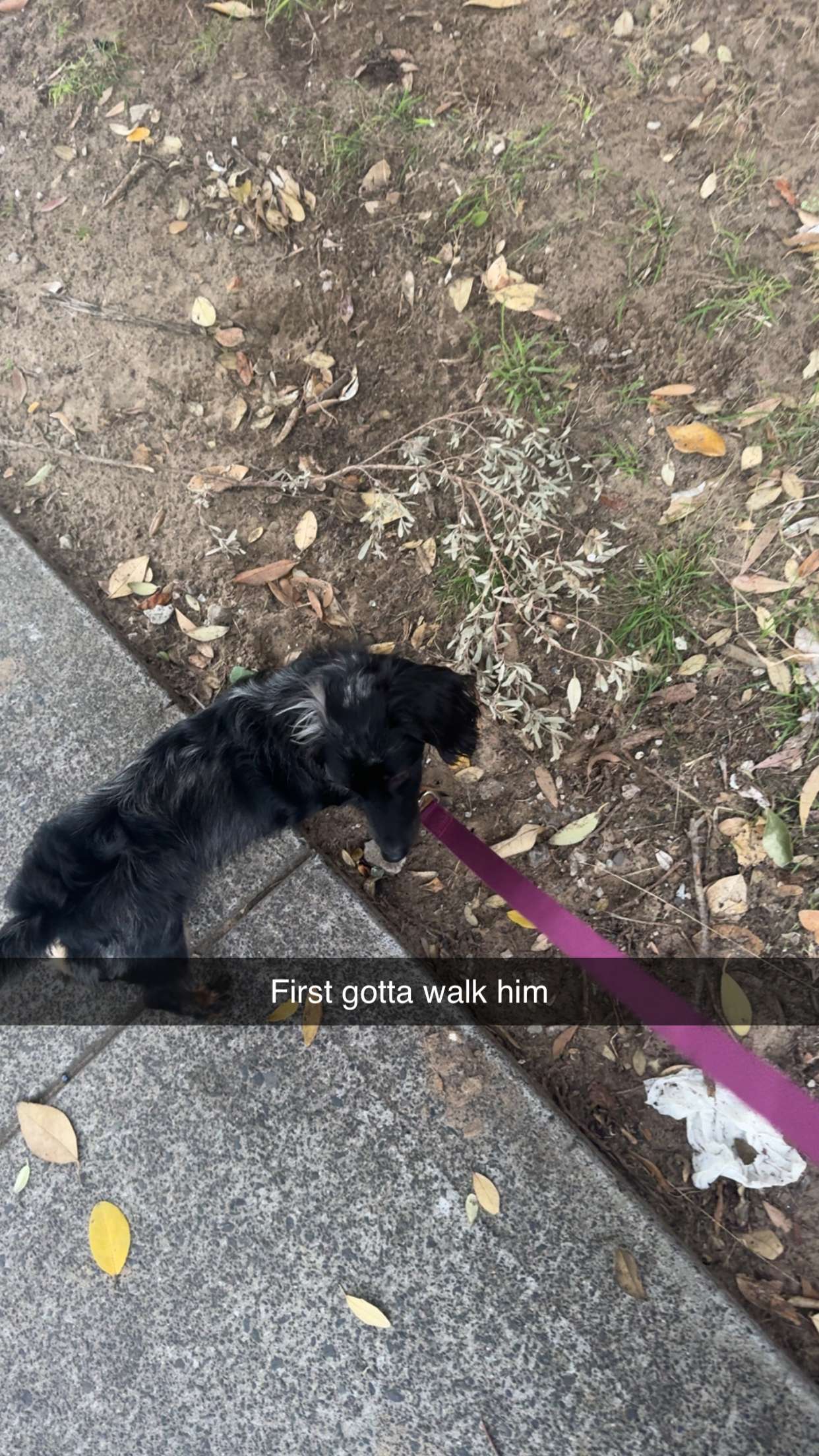 ppwyang0 snapchat image archive image