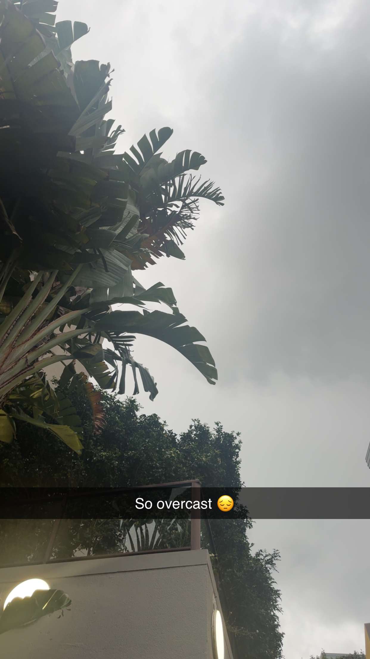 ppwyang0 snapchat image archive image