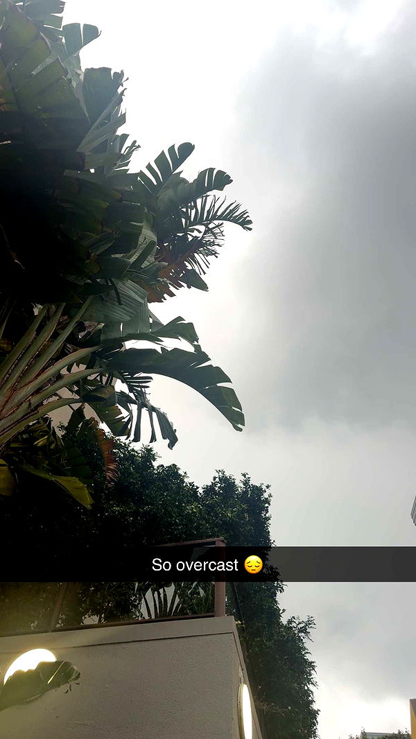 ppwyang0 image ~ Altpins