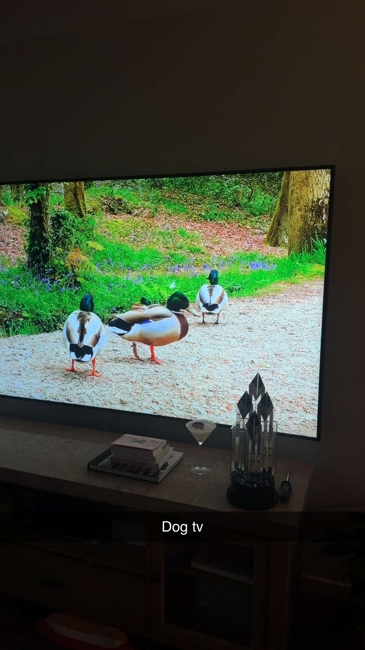 ppwyang0 snapchat image archive image