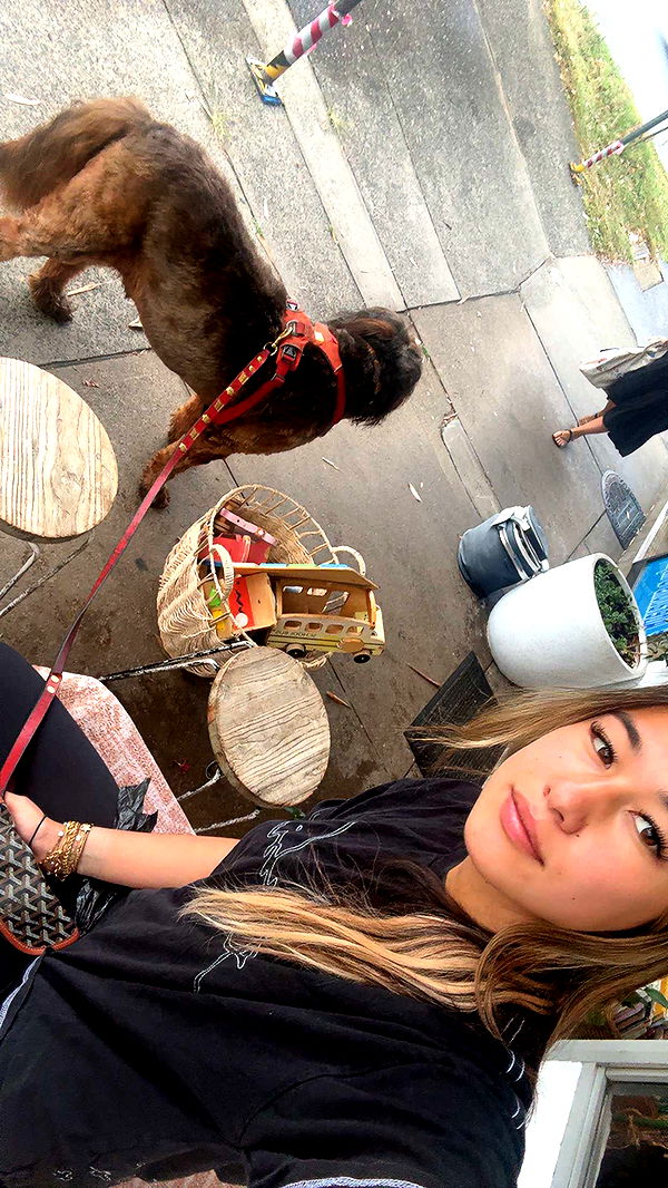 ppwyang0 image ~ Altpins