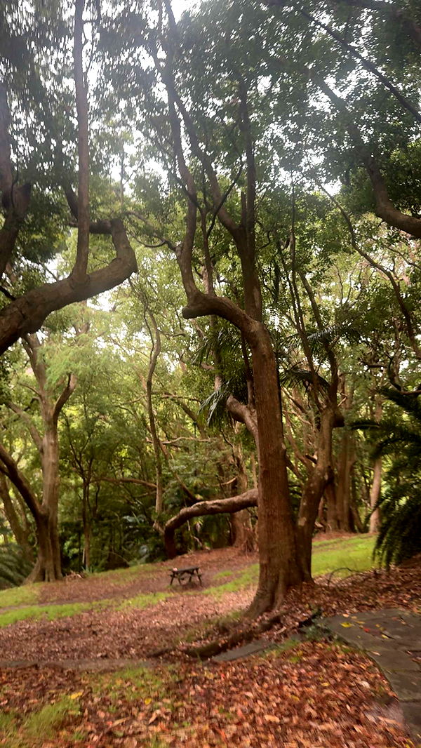 ppwyang0 image ~ Altpins