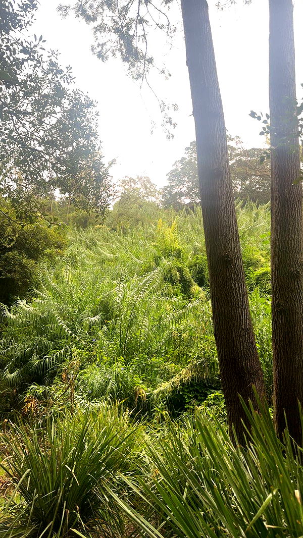 ppwyang0 image ~ Altpins