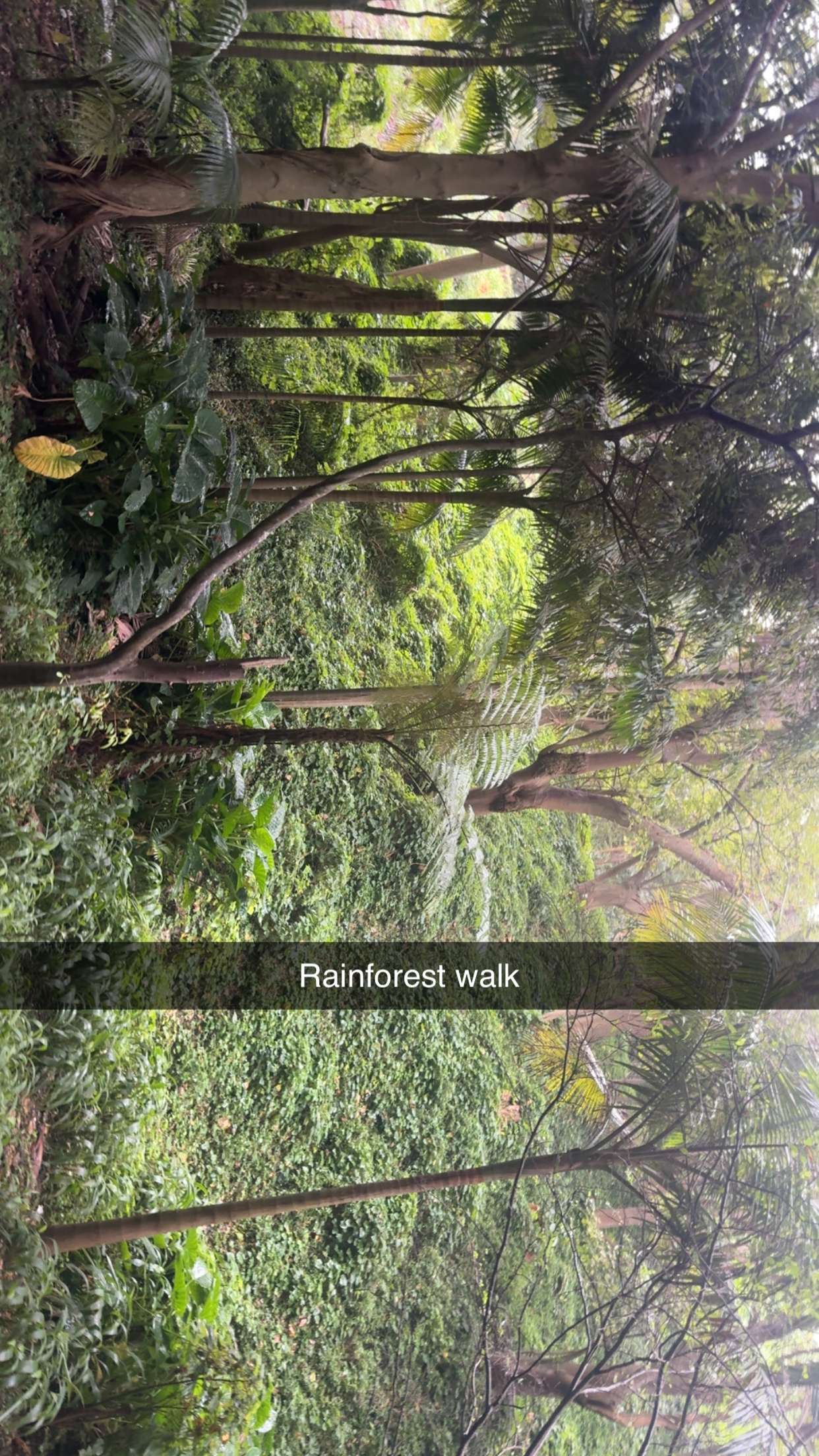 ppwyang0 snapchat image archive image