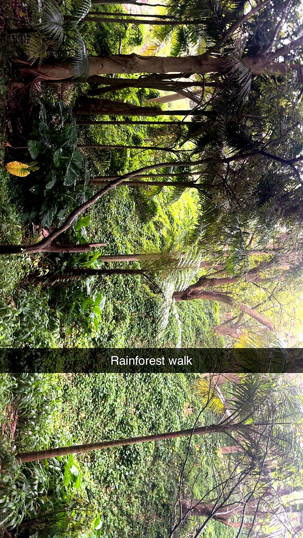 ppwyang0 image ~ Altpins