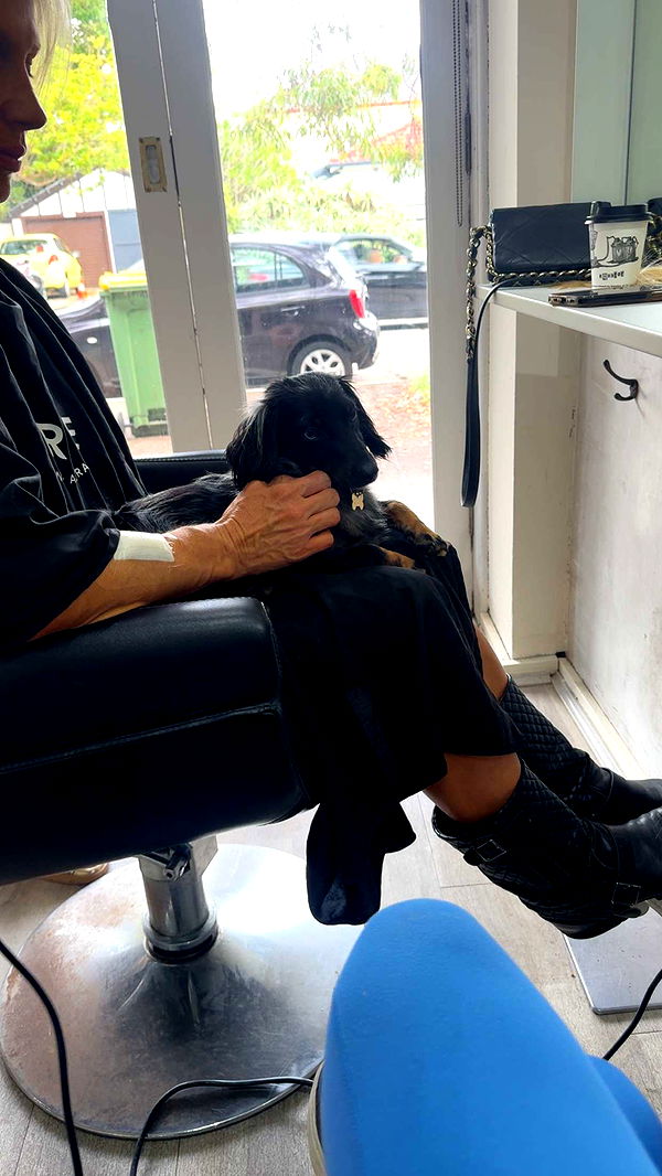 ppwyang0 image ~ Altpins