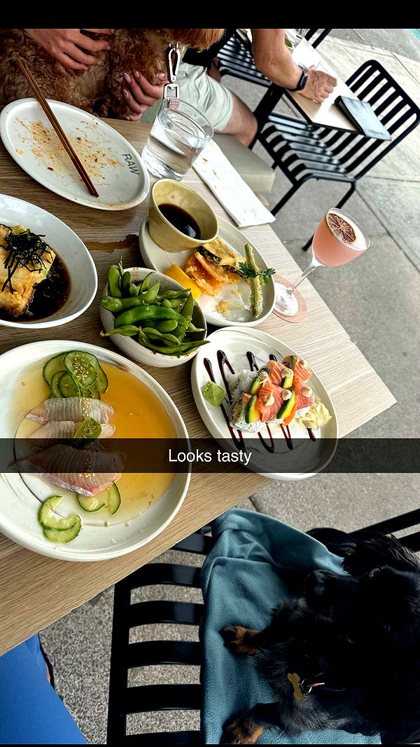 ppwyang0 image ~ Altpins