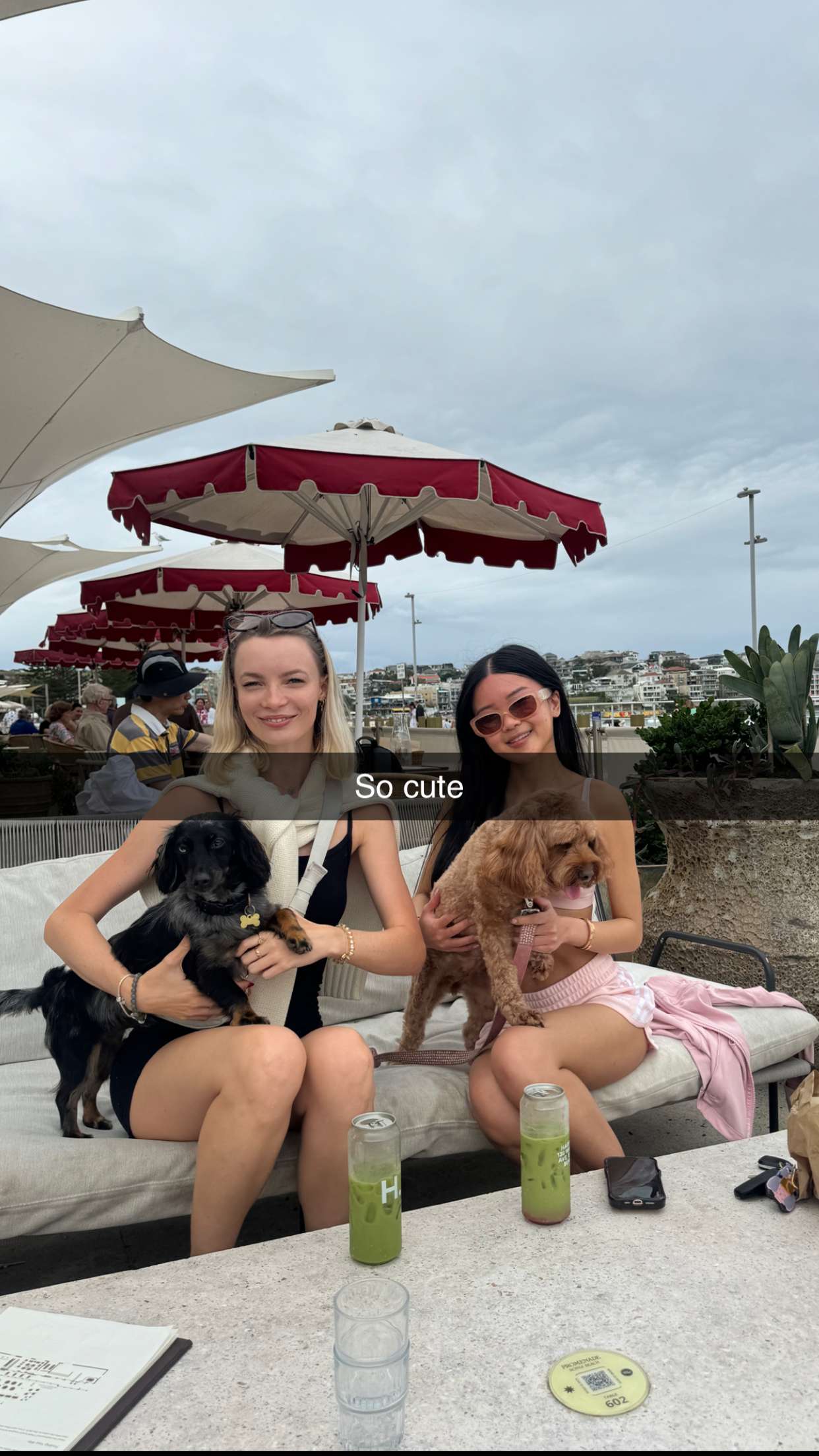 ppwyang0 snapchat image archive image