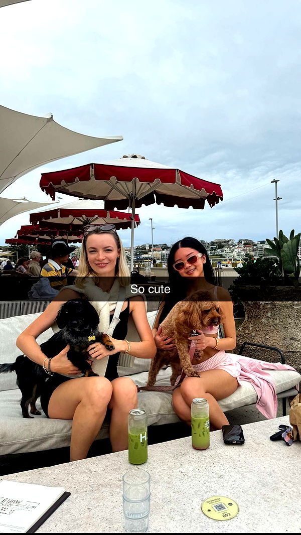 ppwyang0 image ~ Altpins