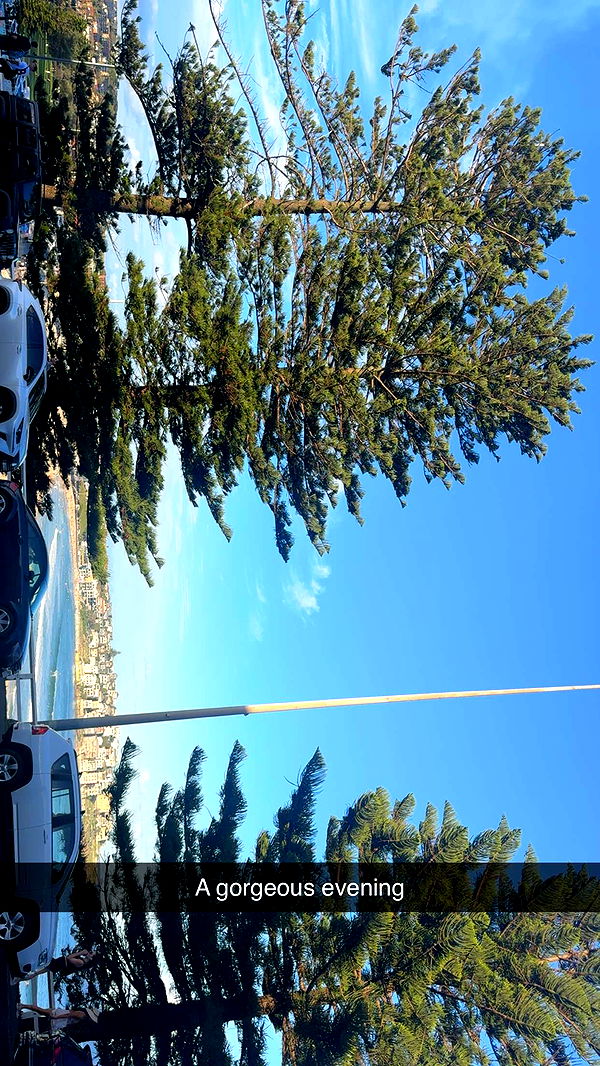 ppwyang0 image ~ Altpins