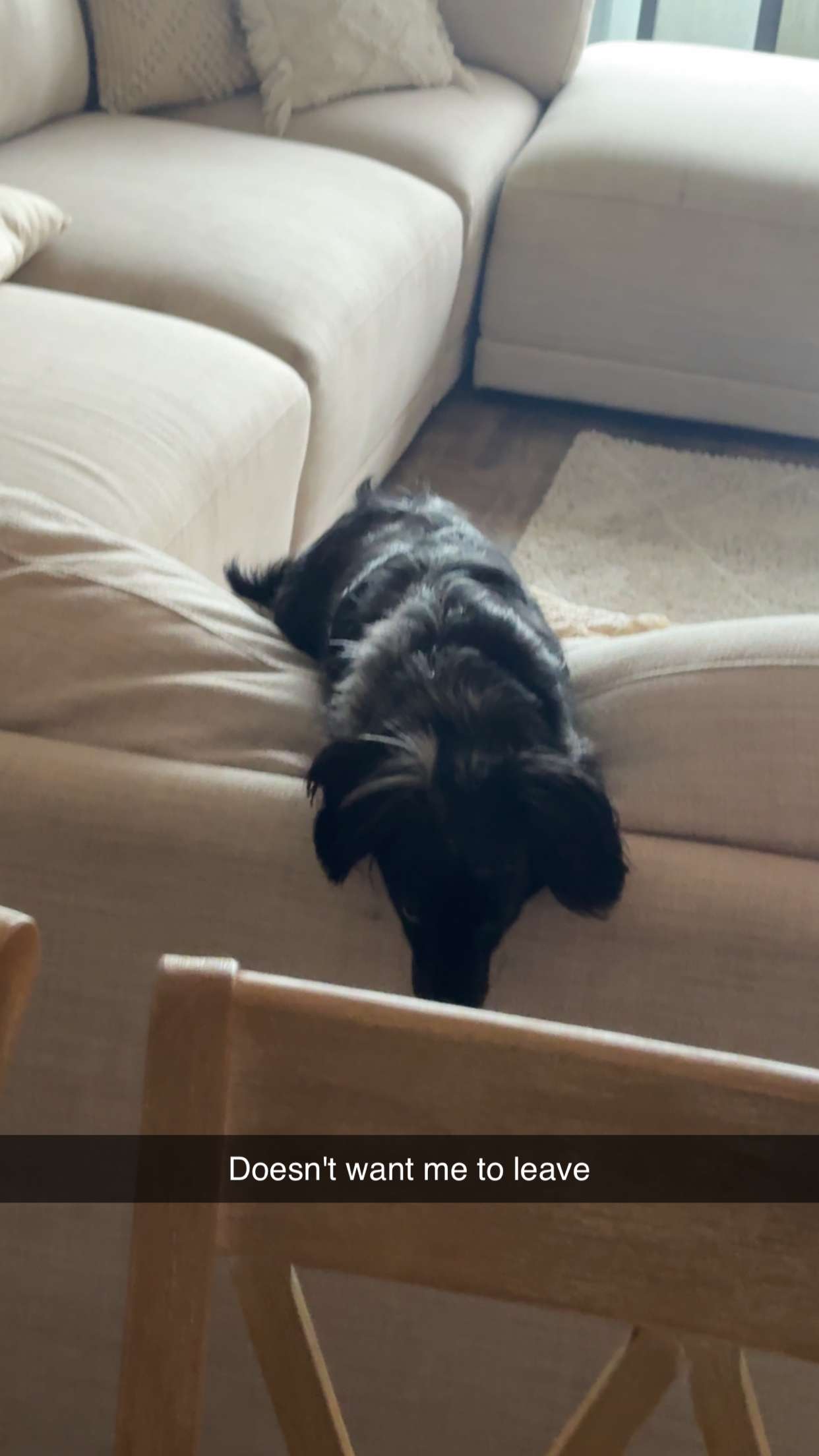 ppwyang0 snapchat image archive image