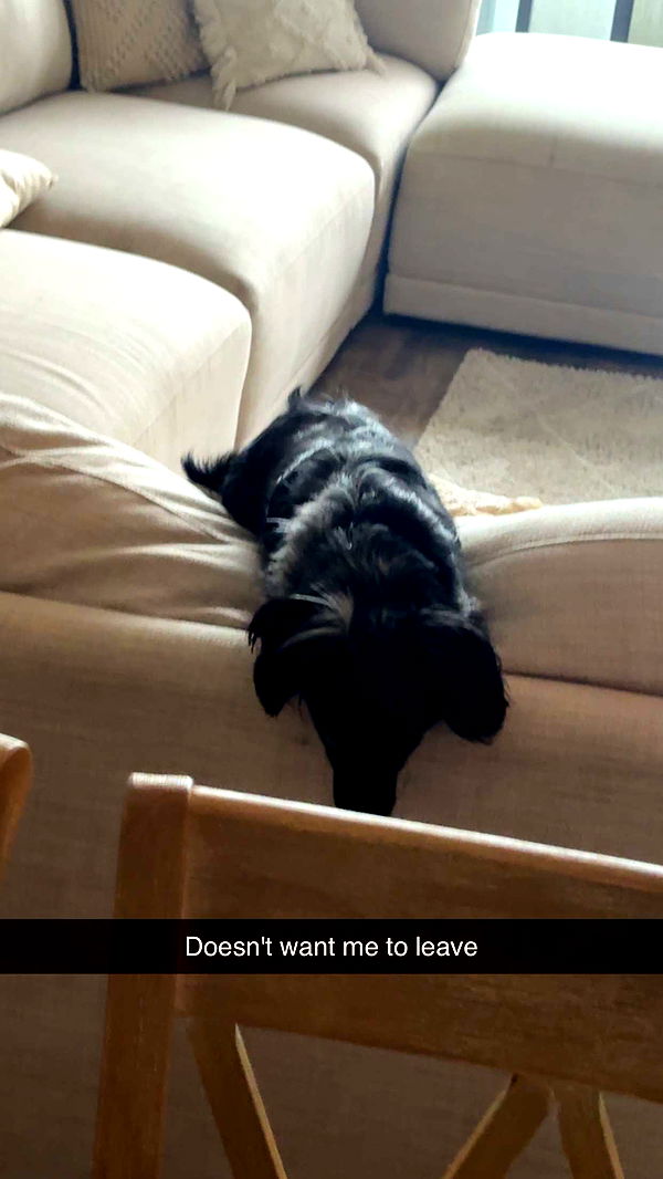 ppwyang0 image ~ Altpins