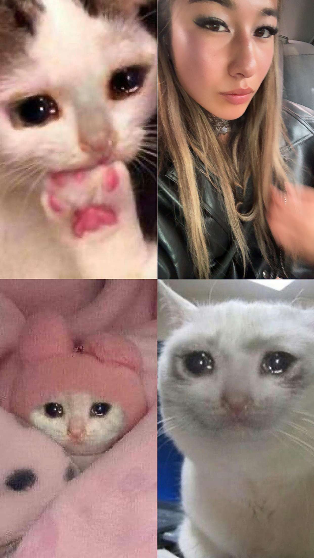 ppwyang0 snapchat image archive image