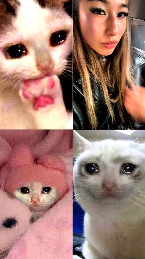 ppwyang0 image ~ Altpins