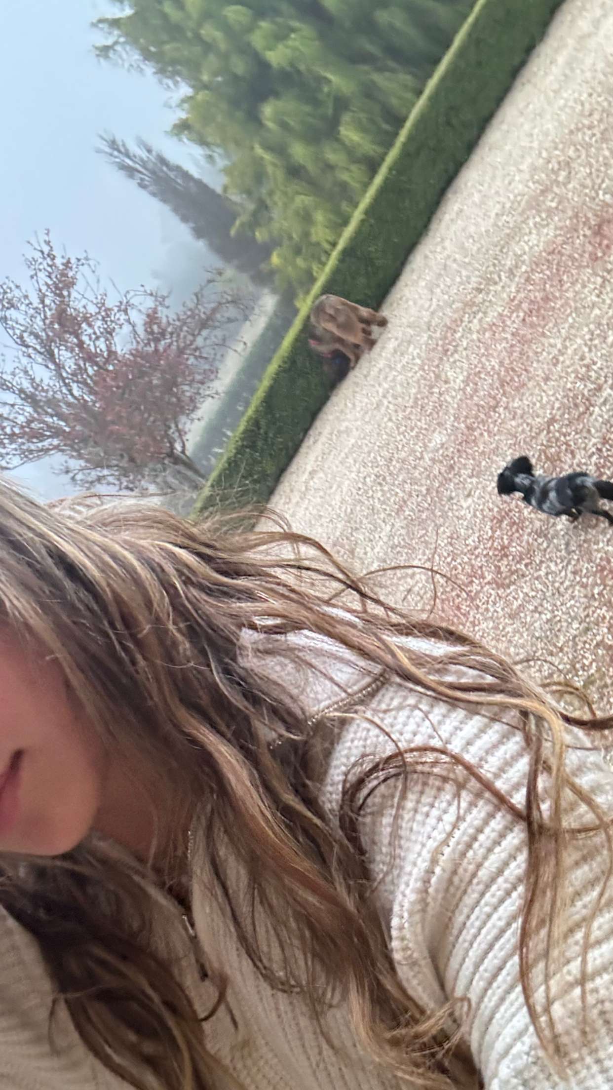 ppwyang0 snapchat image archive image