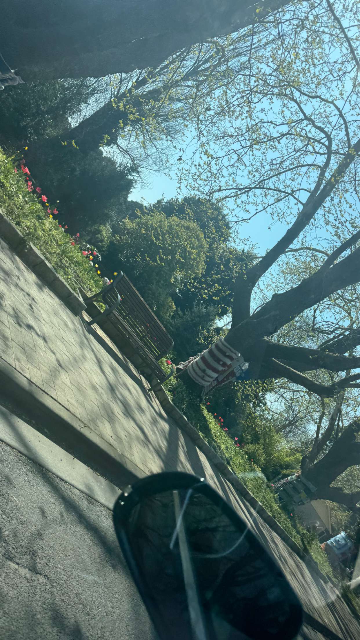 ppwyang0 snapchat image archive image