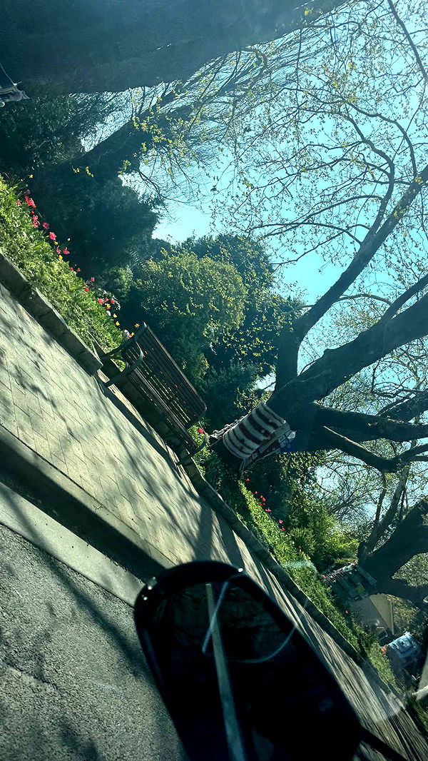 ppwyang0 image ~ Altpins