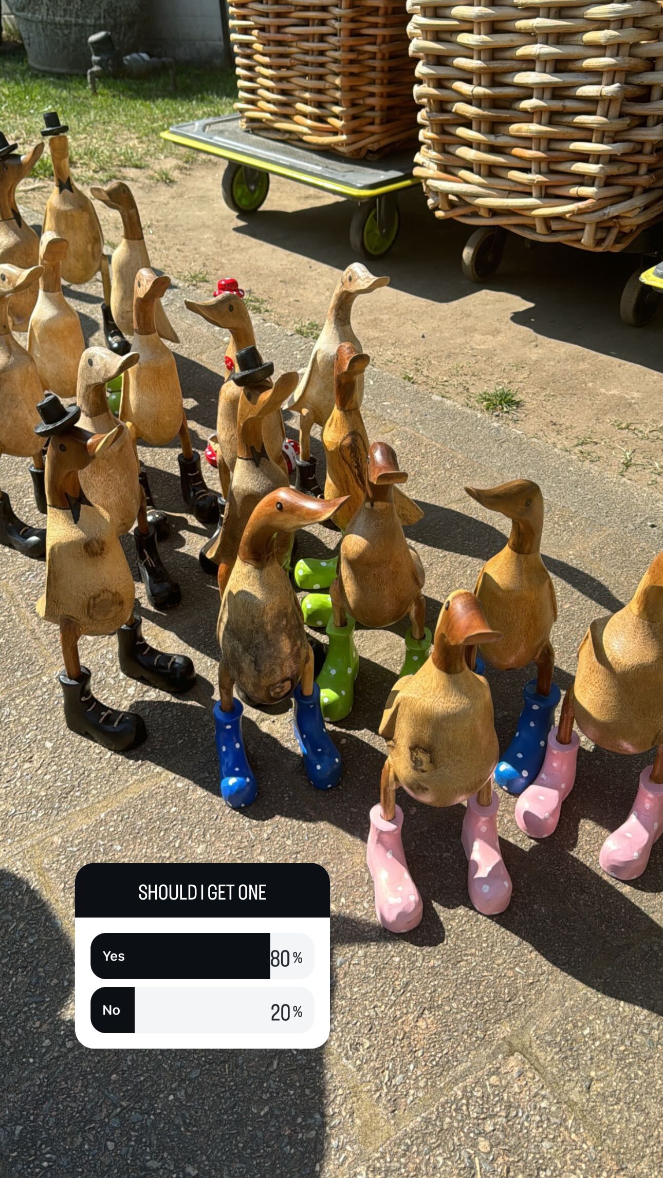 ppwyang0 snapchat image archive image