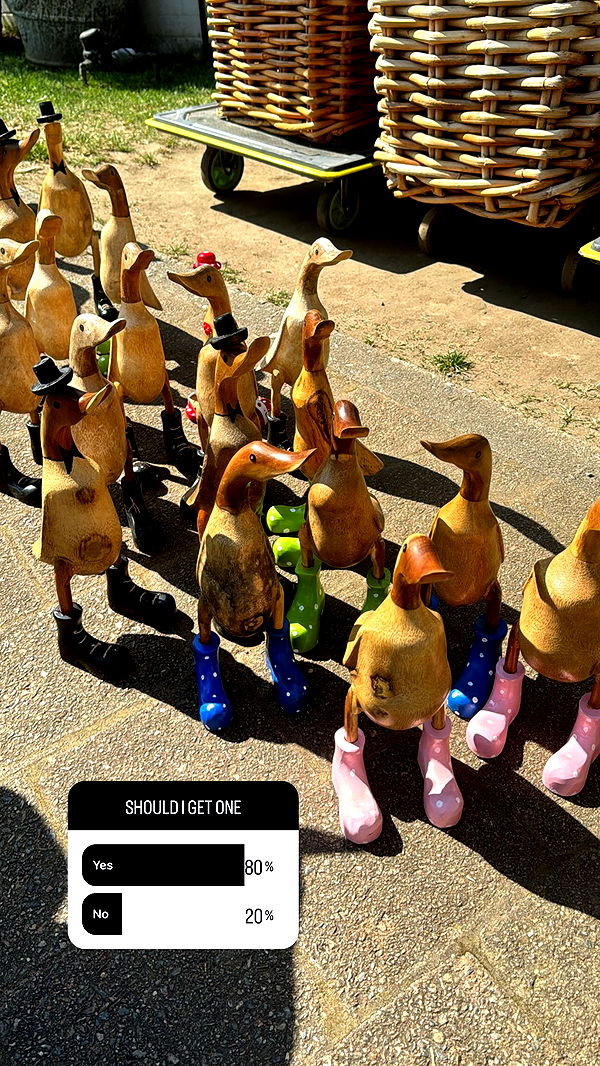 ppwyang0 image ~ Altpins