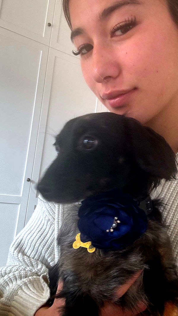 ppwyang0 image ~ Altpins