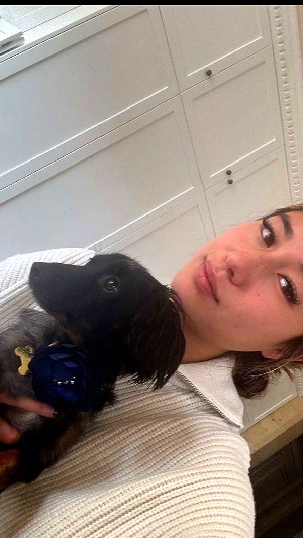 ppwyang0 image ~ Altpins