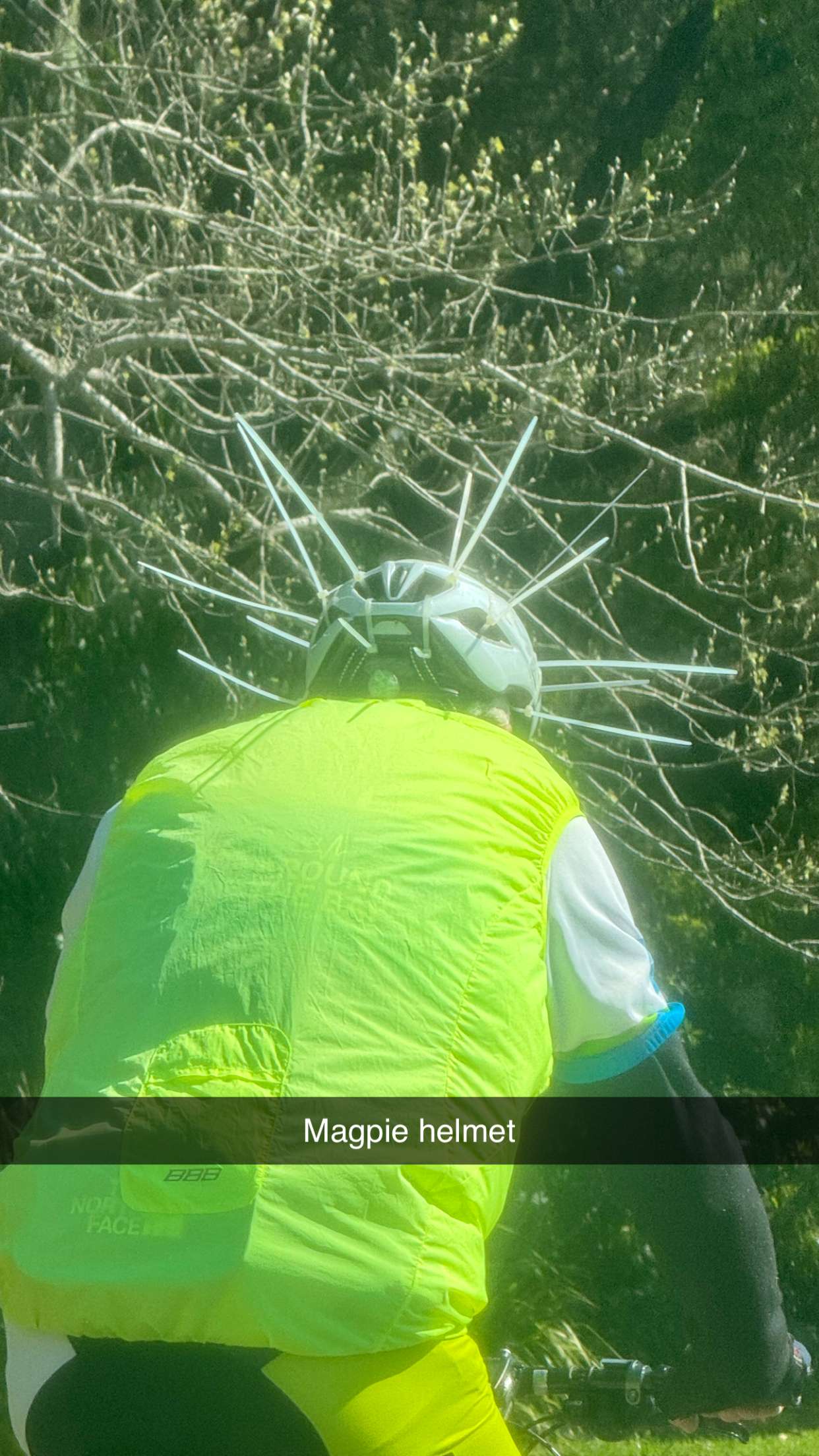 ppwyang0 snapchat image archive image