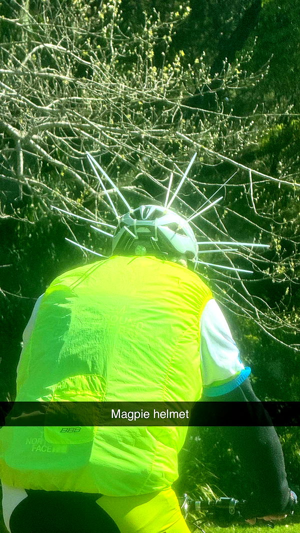 ppwyang0 image ~ Altpins