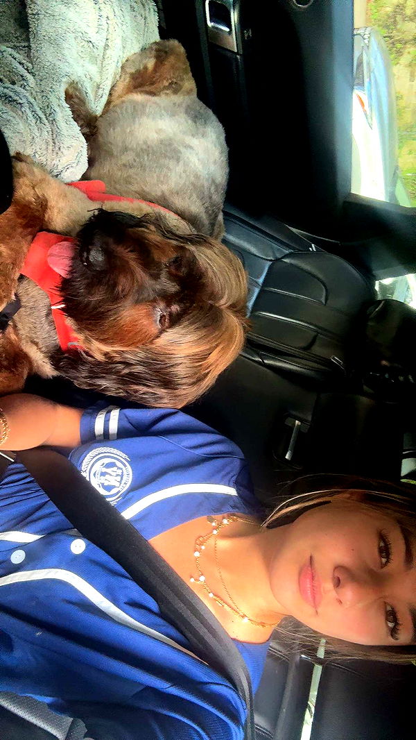 ppwyang0 image ~ Altpins