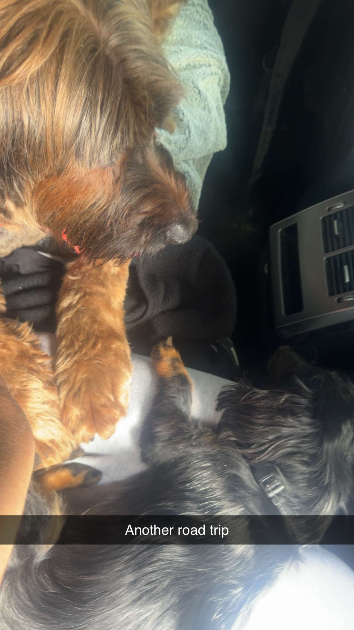 ppwyang0 snapchat image archive image