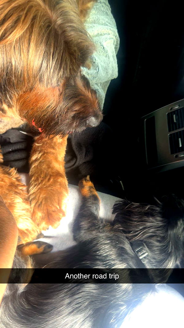 ppwyang0 image ~ Altpins