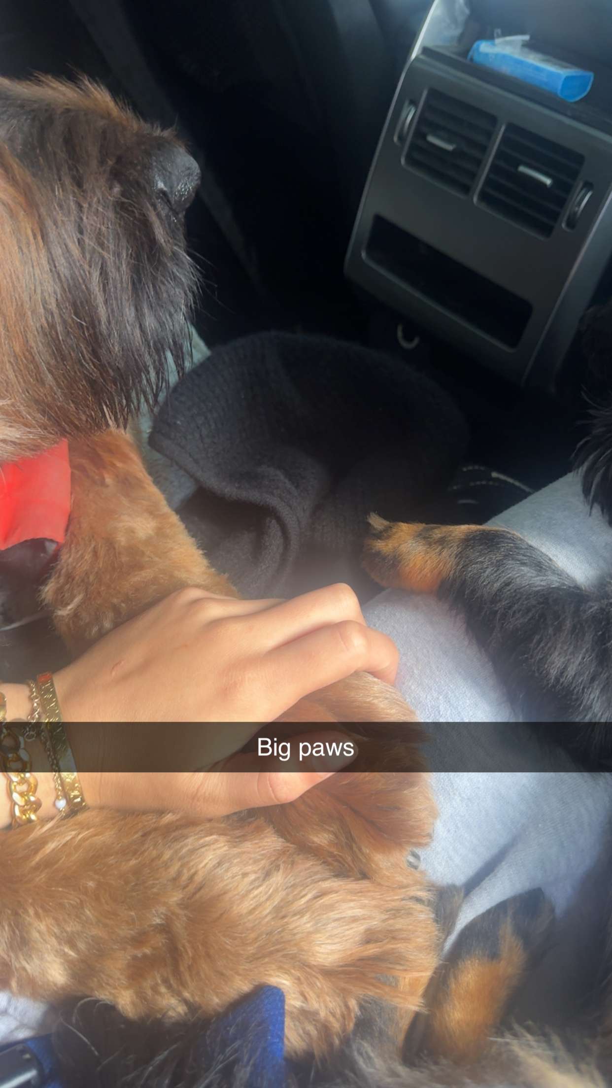 ppwyang0 snapchat image archive image