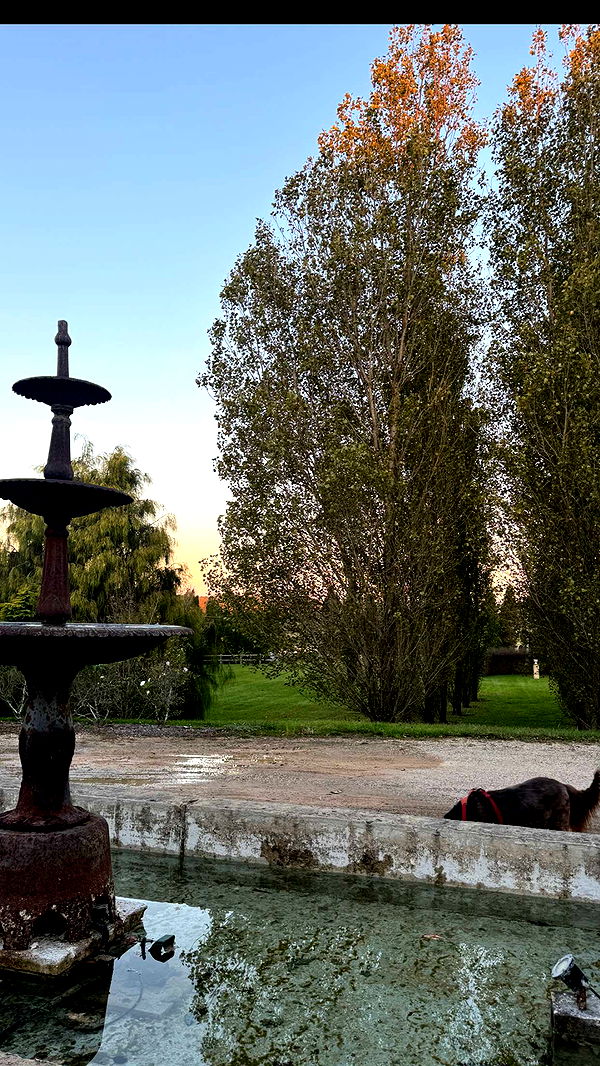 ppwyang0 image ~ Altpins