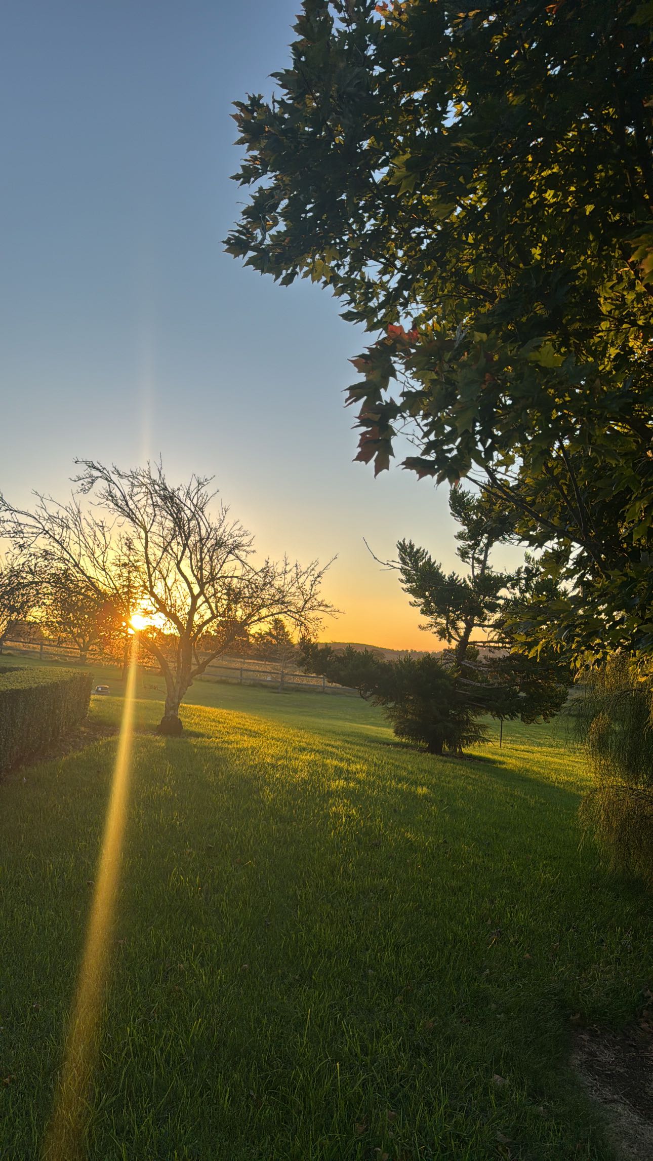 ppwyang0 snapchat image archive image