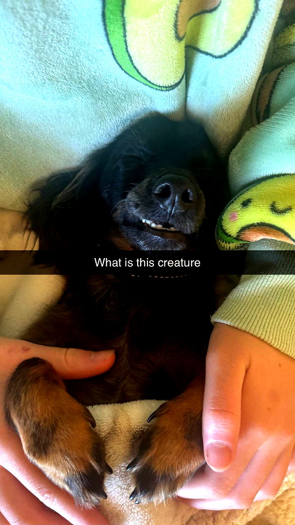 ppwyang0 image ~ Altpins