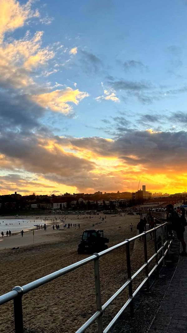 ppwyang0 image ~ Altpins