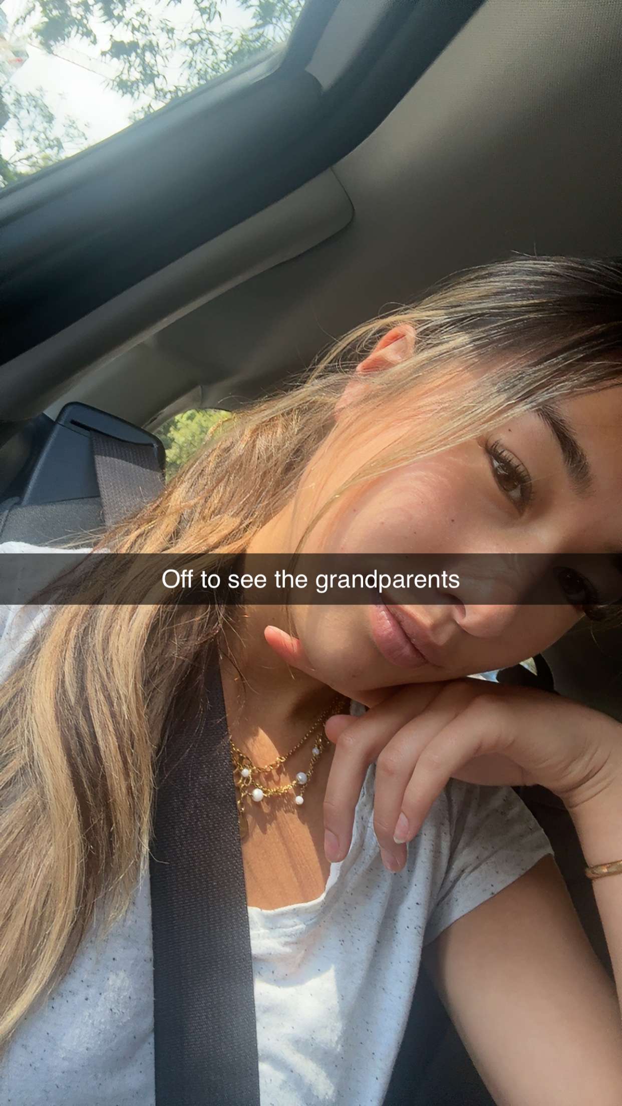 ppwyang0 snapchat image archive image