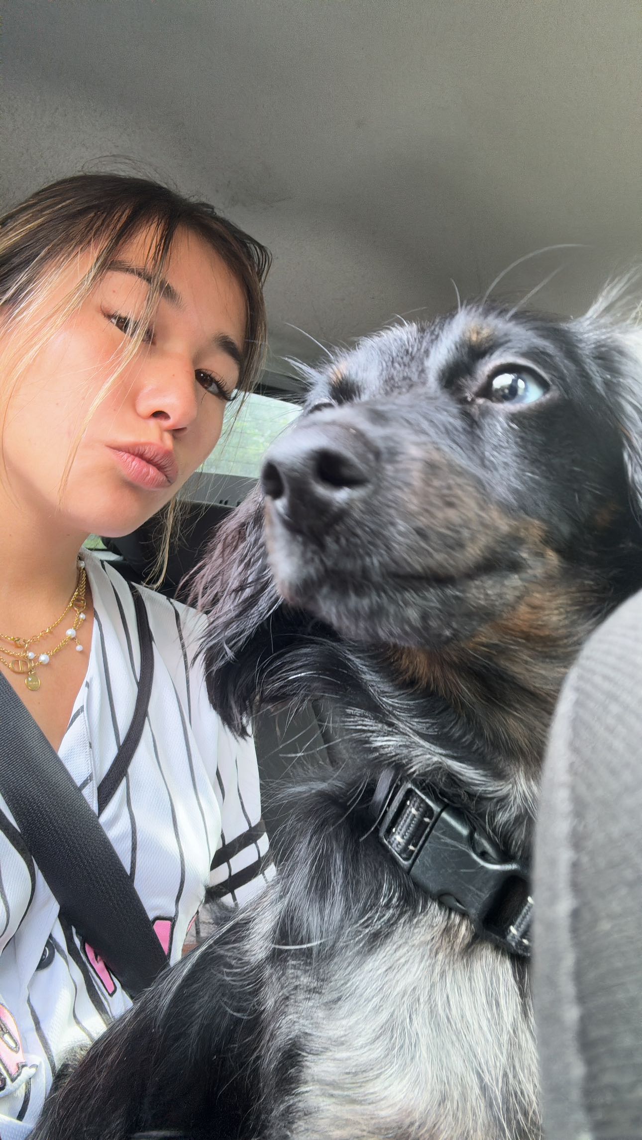 ppwyang0 snapchat image archive image