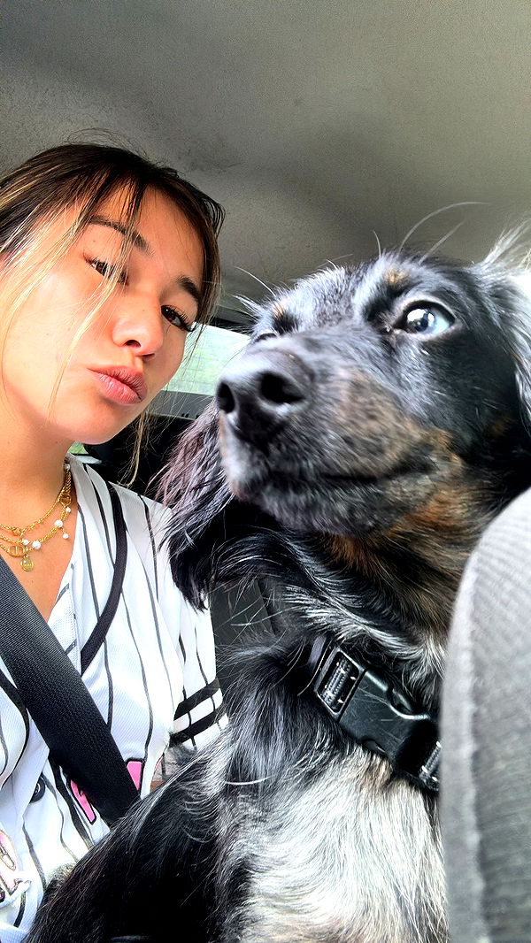 ppwyang0 image ~ Altpins