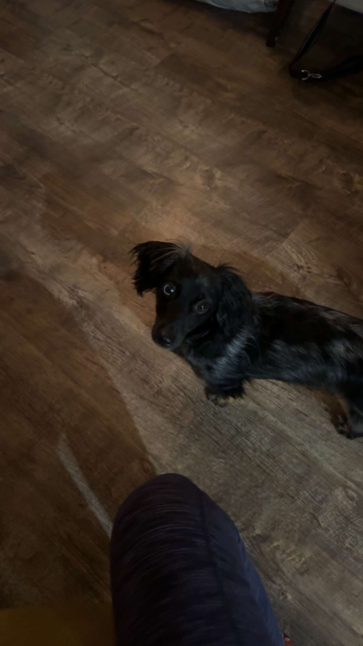 ppwyang0 snapchat image archive image