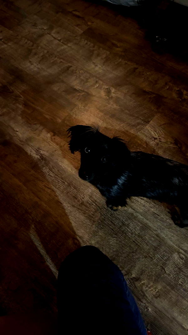 ppwyang0 image ~ Altpins