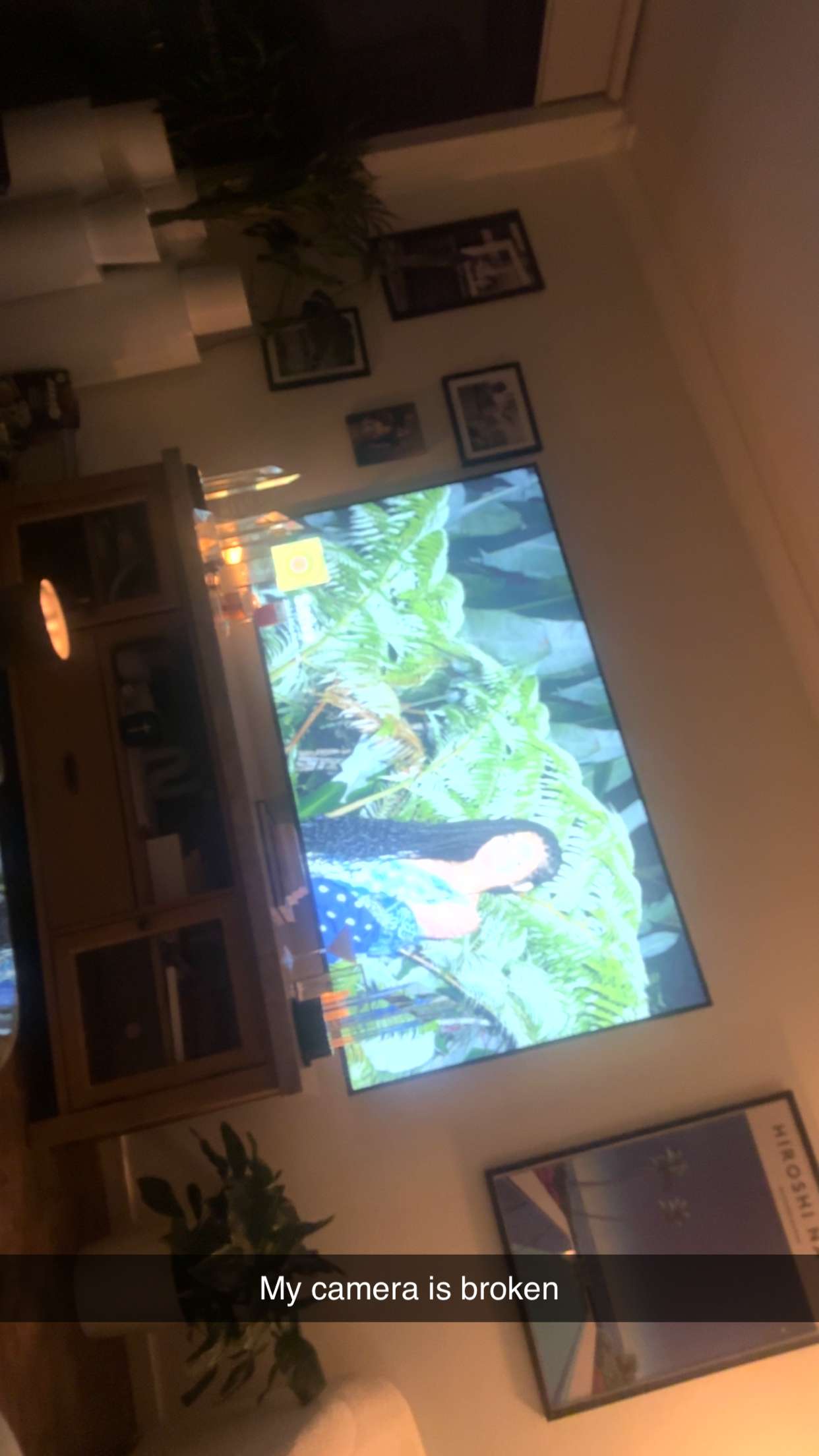 ppwyang0 snapchat image archive image