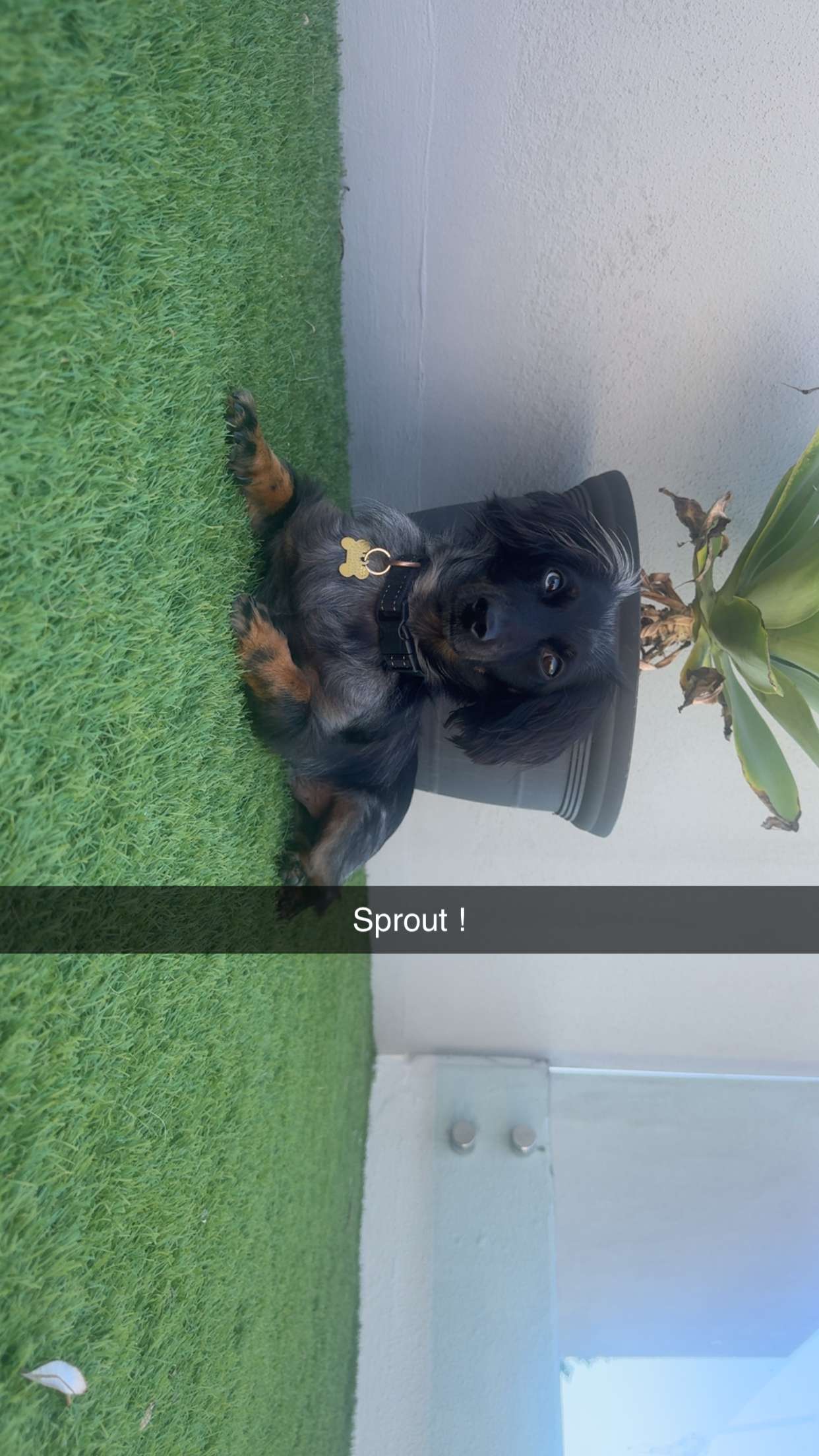 ppwyang0 snapchat image archive image