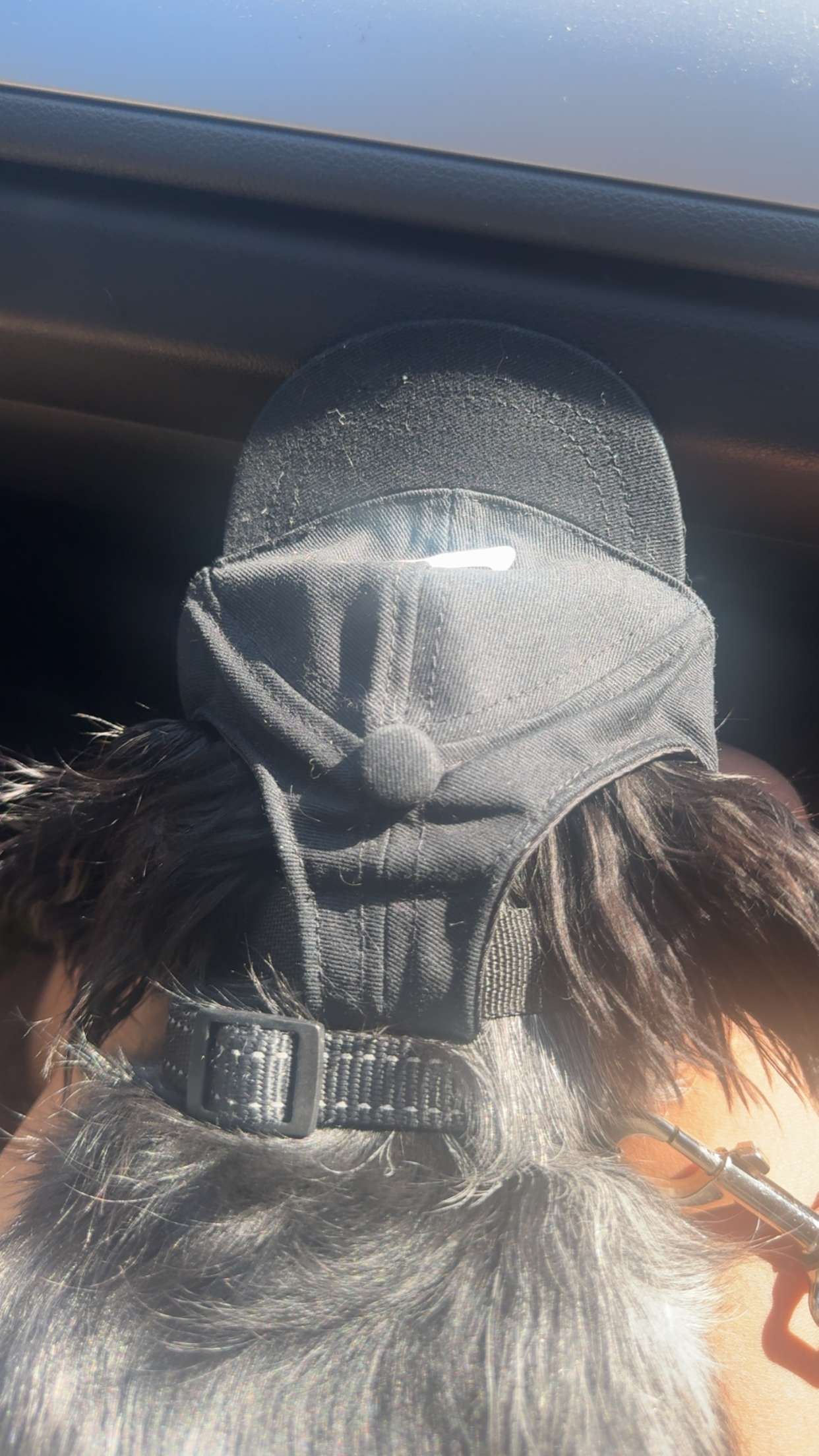 ppwyang0 snapchat image archive image