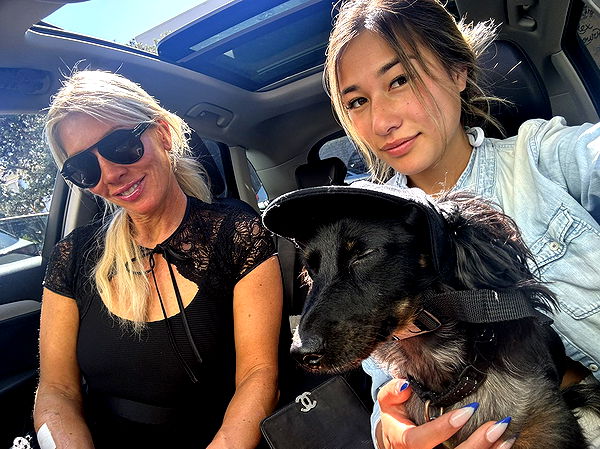 ppwyang0 image ~ Altpins