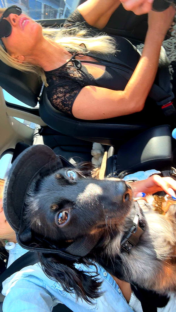 ppwyang0 image ~ Altpins